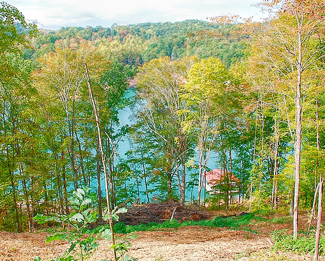 Cove Pointe Lakefront Lots for Sale on Norris Lake